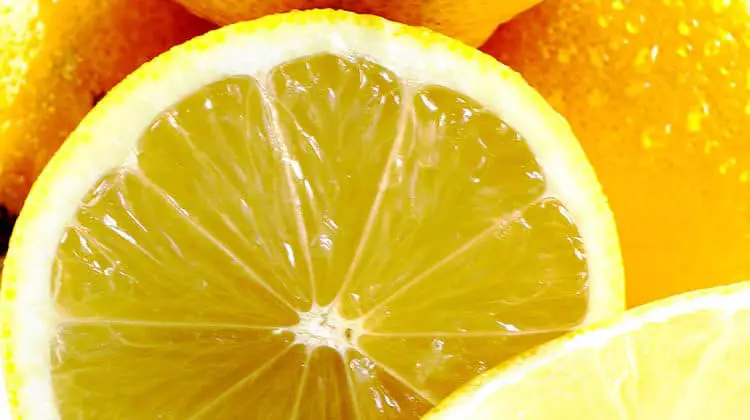 NinjaWarriorX - Ninja Warrior Training Tips - Testosterone Boosting Foods - Citrus Fruits